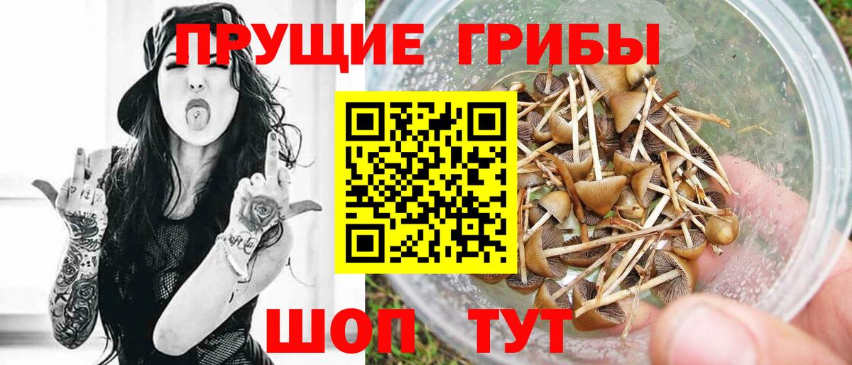 Рузаевка  Псилоцибиновые грибы мухоморы  Псилоцибиновые грибы прущие грибы  Вход с VPN 